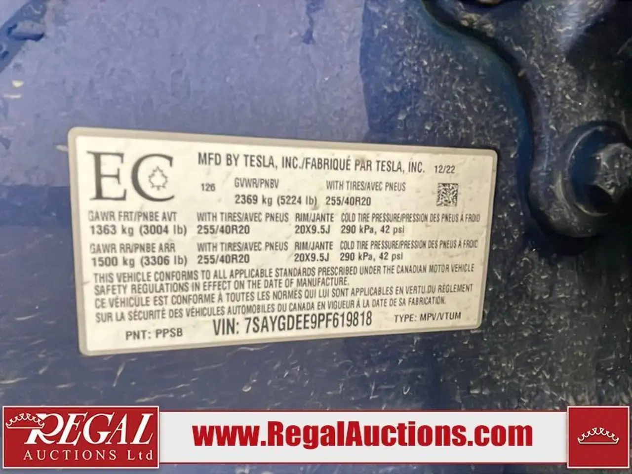 Tesla Model Y снимка Tesla Model Y