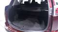 Toyota RAV 4 Hybrid business edition Cruise-controle ECC led-ve Rood - thumbnail 14