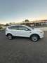 Ford Kuga Kuga 2.0 TDCI 120 CV S&S 2WD Titanium Bianco - thumbnail 7