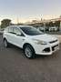 Ford Kuga Kuga 2.0 TDCI 120 CV S&S 2WD Titanium Bianco - thumbnail 3