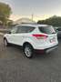 Ford Kuga Kuga 2.0 TDCI 120 CV S&S 2WD Titanium Bianco - thumbnail 2