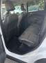 Ford Kuga Kuga 2.0 TDCI 120 CV S&S 2WD Titanium Bianco - thumbnail 14