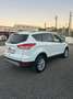 Ford Kuga Kuga 2.0 TDCI 120 CV S&S 2WD Titanium Bianco - thumbnail 4