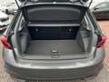 Skoda Fabia Active 1.0 MPI 48kW  *SMARTLINK*WKR*PDC*KLIMA* Grigio - thumbnail 14