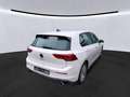 Volkswagen Golf GTI Golf VIII GTI 2.0 TSI DSG, LED, SHZ Weiß - thumbnail 4