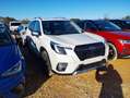 Subaru Forester 2.0i Hybrid Executive Plus CVT Blanco - thumbnail 2
