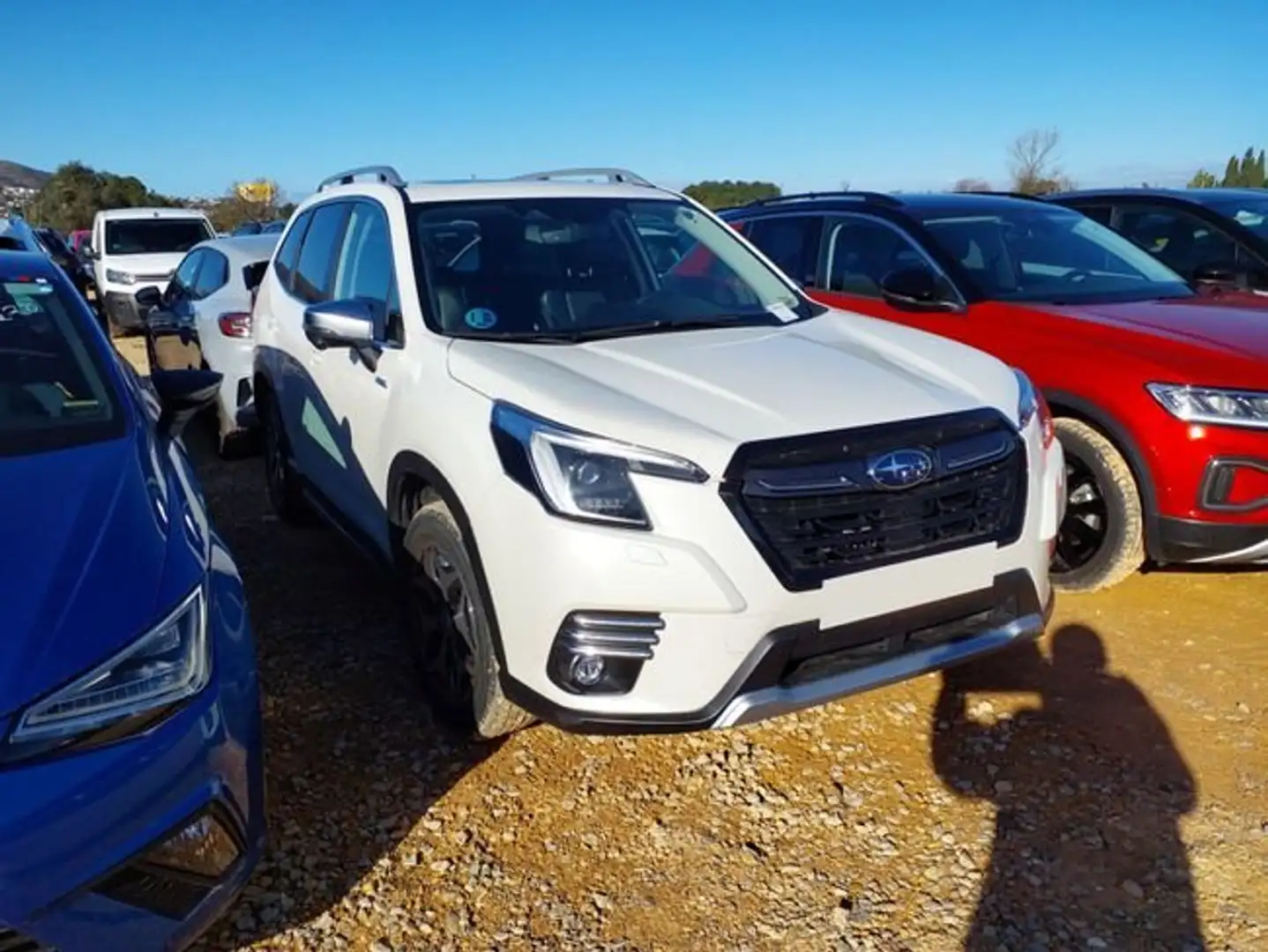 Subaru Forester 2.0i Hybrid Executive Plus CVT Blanco - 2