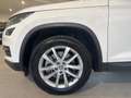 Skoda Kodiaq 2.0 tdi evo Style 4x4 dsg 7p.ti Bianco - thumbnail 5