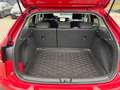 Volkswagen Taigo 1.5 TSI Style °IQ.Light°ACC°StHz° Rot - thumbnail 19