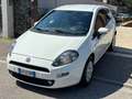 Fiat Punto 1.4 3P*LOUNGE*NEOPATENTATI* Bianco - thumbnail 3