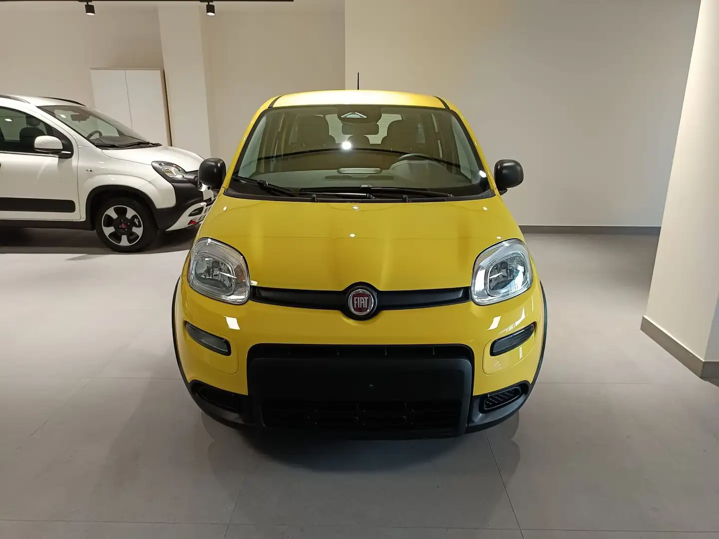 Fiat Panda 1.0 Hybrid Amarillo - 2