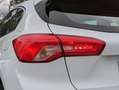 Ford Focus 1.5Ecoblue Trend+ Aut. 120 - thumbnail 10