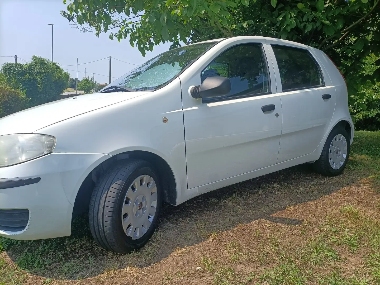 Fiat Punto 5p 1.2 Active Gpl neopatentati - 2