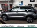 Skoda Karoq 2.0 TDI Tour Grau - thumbnail 3