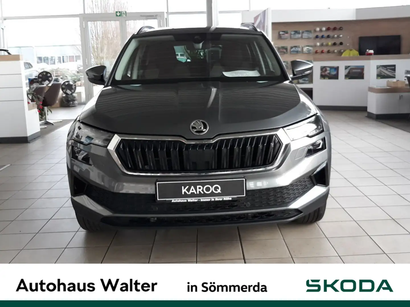 Skoda Karoq 2.0 TDI Tour Grau - 2