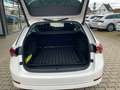 Skoda Octavia Combi Style 1.4 TSI IV +Navi+Kamera+Pano Weiß - thumbnail 15