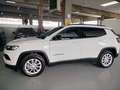 Jeep Compass 1.6 Multijet 130cv Limited PROMO Wit - thumbnail 7