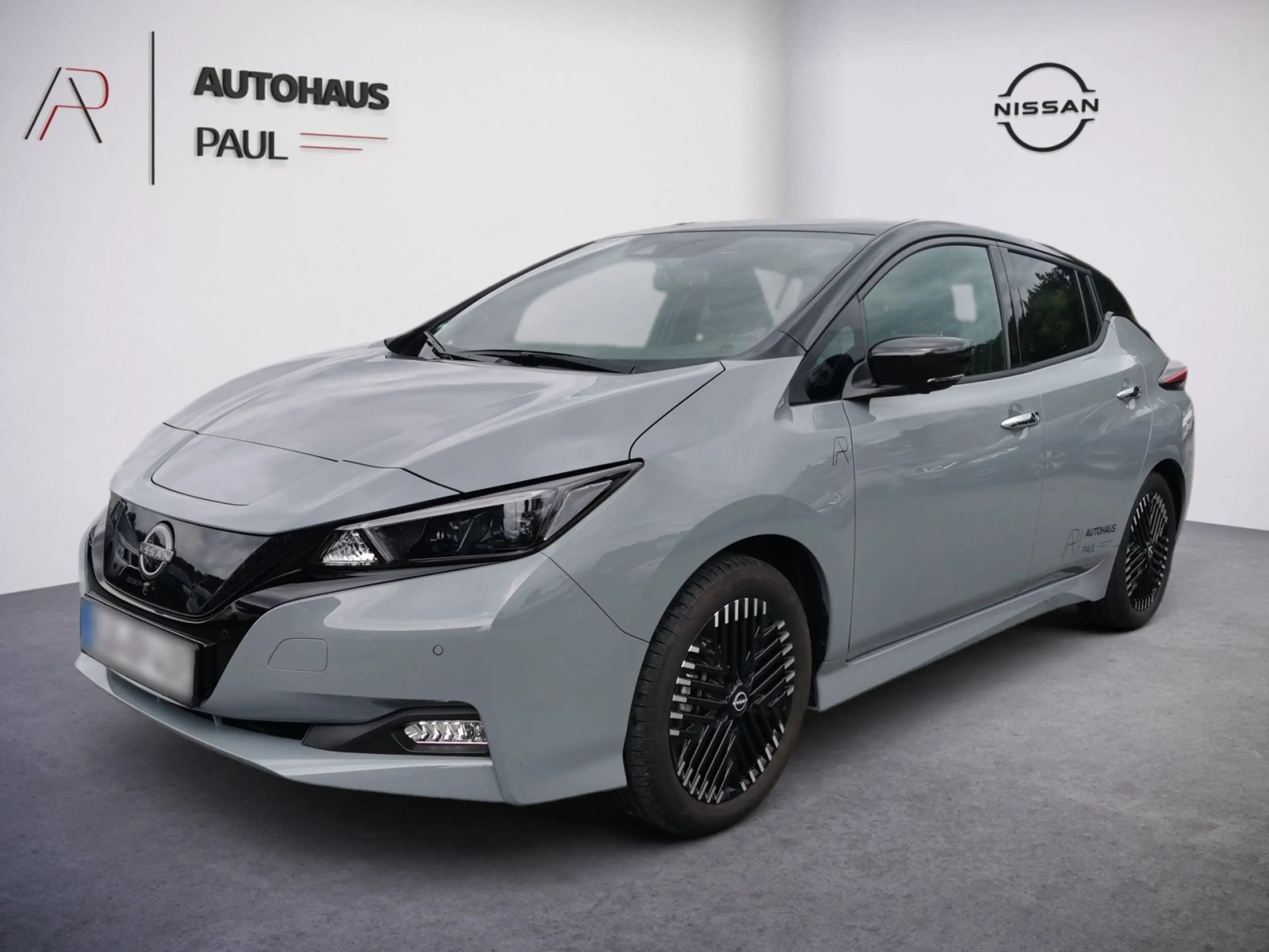Nissan Leaf 40kWh N-Connecta, 360°, Navi, Winter, LED — photo 2