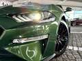 Ford Mustang GT V8 Autom. 1.Hd+ Deutsch+ Unfallfrei Grün - thumbnail 6