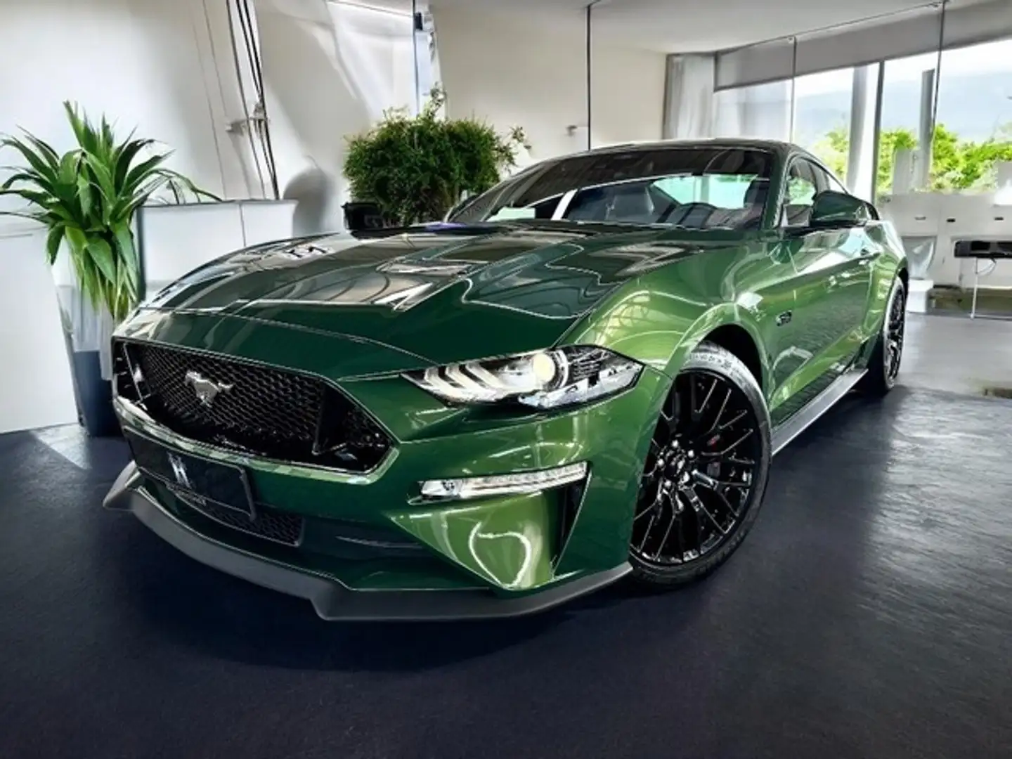 Ford Mustang GT V8 Autom. 1.Hd+ Deutsch+ Unfallfrei Grün - 1