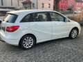 Mercedes-Benz B 220 B 220 4Matic Automatik (246.247) Weiß - thumbnail 2