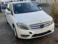 Mercedes-Benz B 220 B 220 4Matic Automatik (246.247) Weiß - thumbnail 1