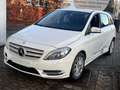 Mercedes-Benz B 220 B 220 4Matic Automatik (246.247) Weiß - thumbnail 4