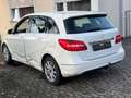 Mercedes-Benz B 220 B 220 4Matic Automatik (246.247) Weiß - thumbnail 3