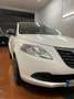 Lancia Ypsilon 1.2 69 CV 5 porte Elefantino Blanc - thumbnail 6