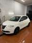 Lancia Ypsilon 1.2 69 CV 5 porte Elefantino Blanc - thumbnail 13