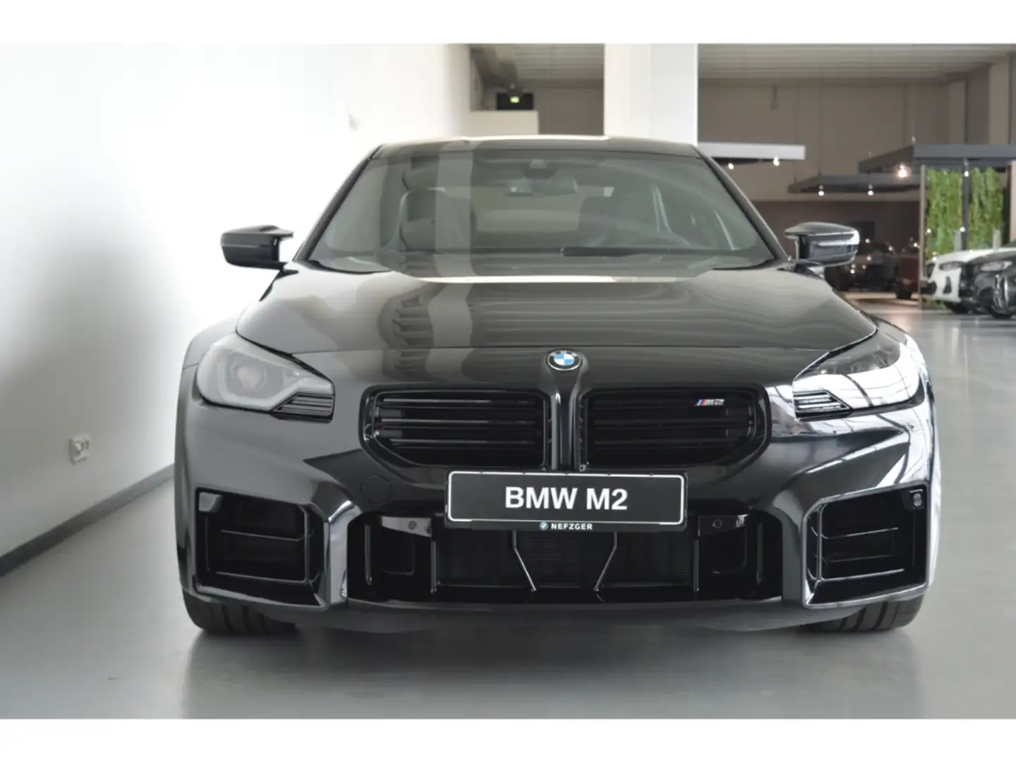 BMW M2 Coupe Leder Park-Assistent Komfortzugang LED H&K Black - 2