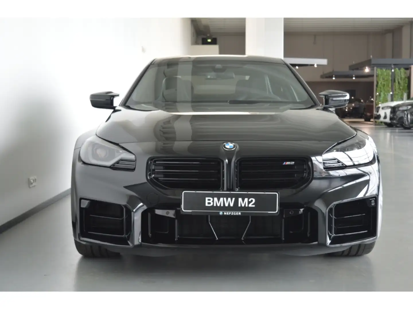 BMW M2 Coupe Leder Park-Assistent Komfortzugang LED H&K Schwarz - 2