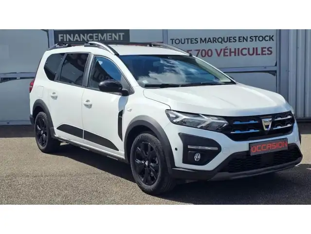Dacia Jogger view 20
