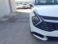 Kia Sportage Sportage 1.6 crdi mhev Business dct Blanco - thumbnail 18