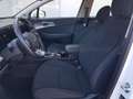 Kia Sportage Sportage 1.6 crdi mhev Business dct Blanco - thumbnail 12