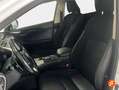 Lexus NX 300 2.5 300h Business Navigation 2WD Blanco - thumbnail 21