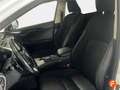 Lexus NX 300 2.5 300h Business Navigation 2WD Blanc - thumbnail 21