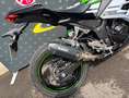 Kawasaki Ninja 300 Grün - thumbnail 2