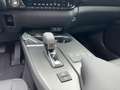 Lexus UX 300e UX 300h F Sport Design Klimaaut., ACC,SpurH, LM Verde - thumbnail 14