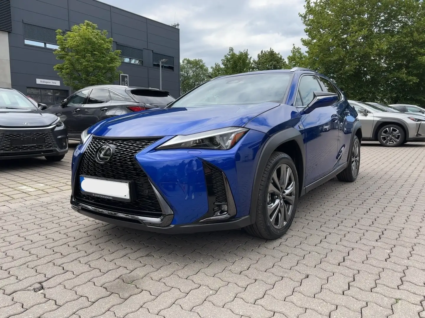 Lexus UX 300e UX 300h F Sport Design Klimaaut., ACC,SpurH, LM Verde - 2