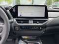 Lexus UX 300e UX 300h F Sport Design Klimaaut., ACC,SpurH, LM Verde - thumbnail 13