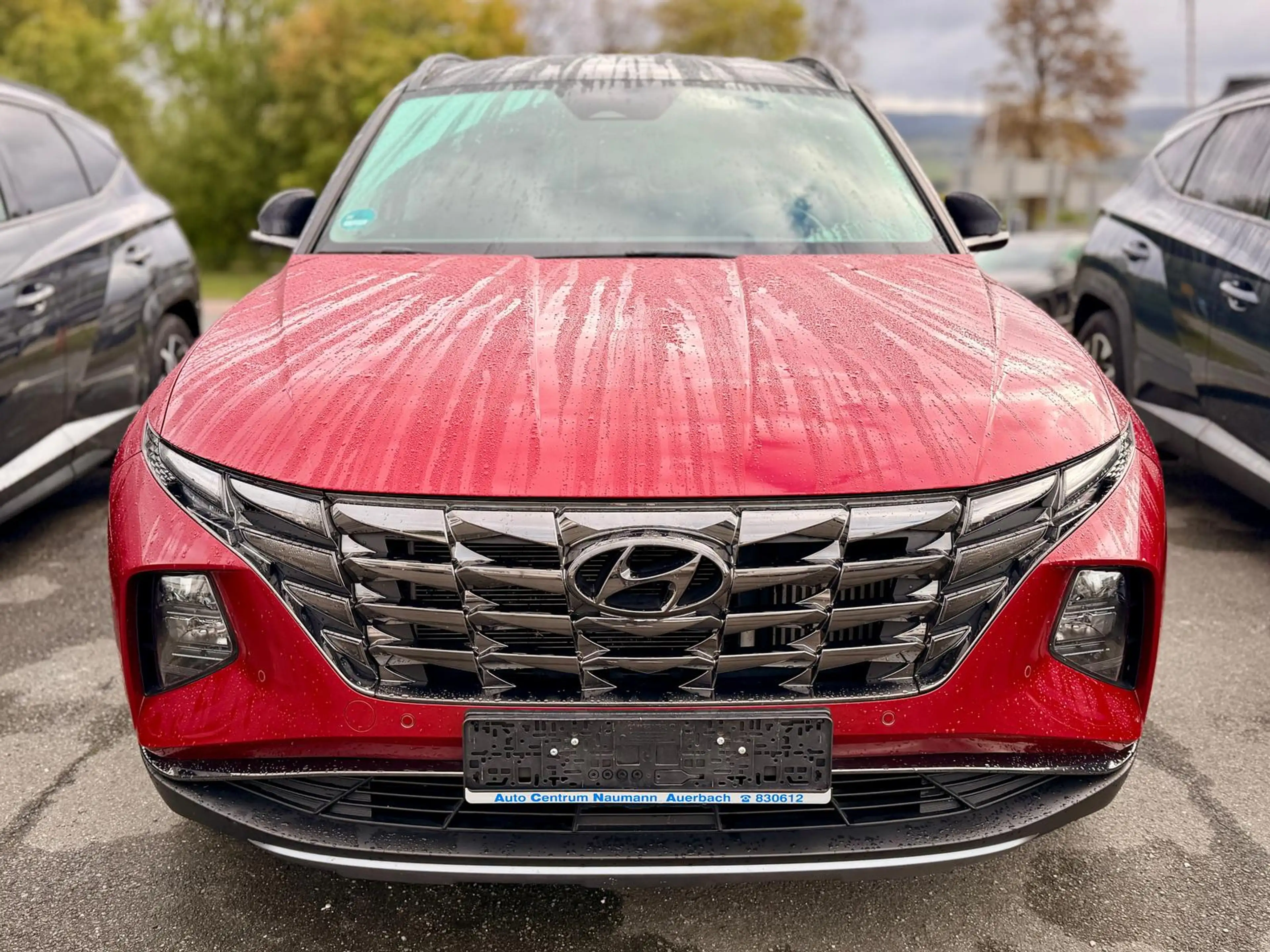 Hyundai TUCSON 1.6 TGDi Trendline 2WD MHEV *Winterräder* — photo 2