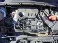 Ford Puma Puma II 2020 1.0 ecoboost h ST-Line X s Weiß - thumbnail 50