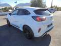 Ford Puma Puma II 2020 1.0 ecoboost h ST-Line X s Weiß - thumbnail 13