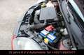Ford Fiesta 1.3 Ambiente, Scheckheftgepflegt, 1.HD Rot - thumbnail 21