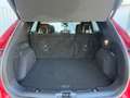 Ford Kuga 1.5 TITANIUM X *1.Hand*Top Ausstattung*AHK*HeadUp Rot - thumbnail 25