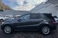 Mercedes-Benz ML 350 CDI 4M AMG Line *GSD *LUFT *Kamera *H&K Grau - thumbnail 6