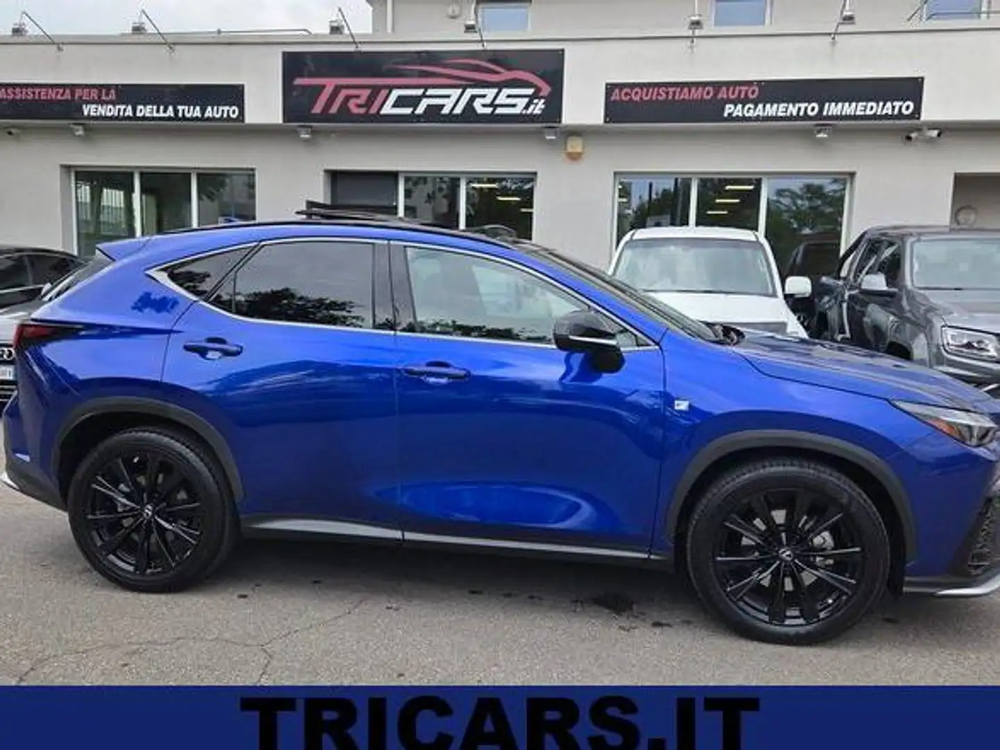 Lexus NX 350h 350h 2.5 F-Sport 4wd e-cvt PERMUTE TETTO UNICOPR. Blu/Azzurro - 1