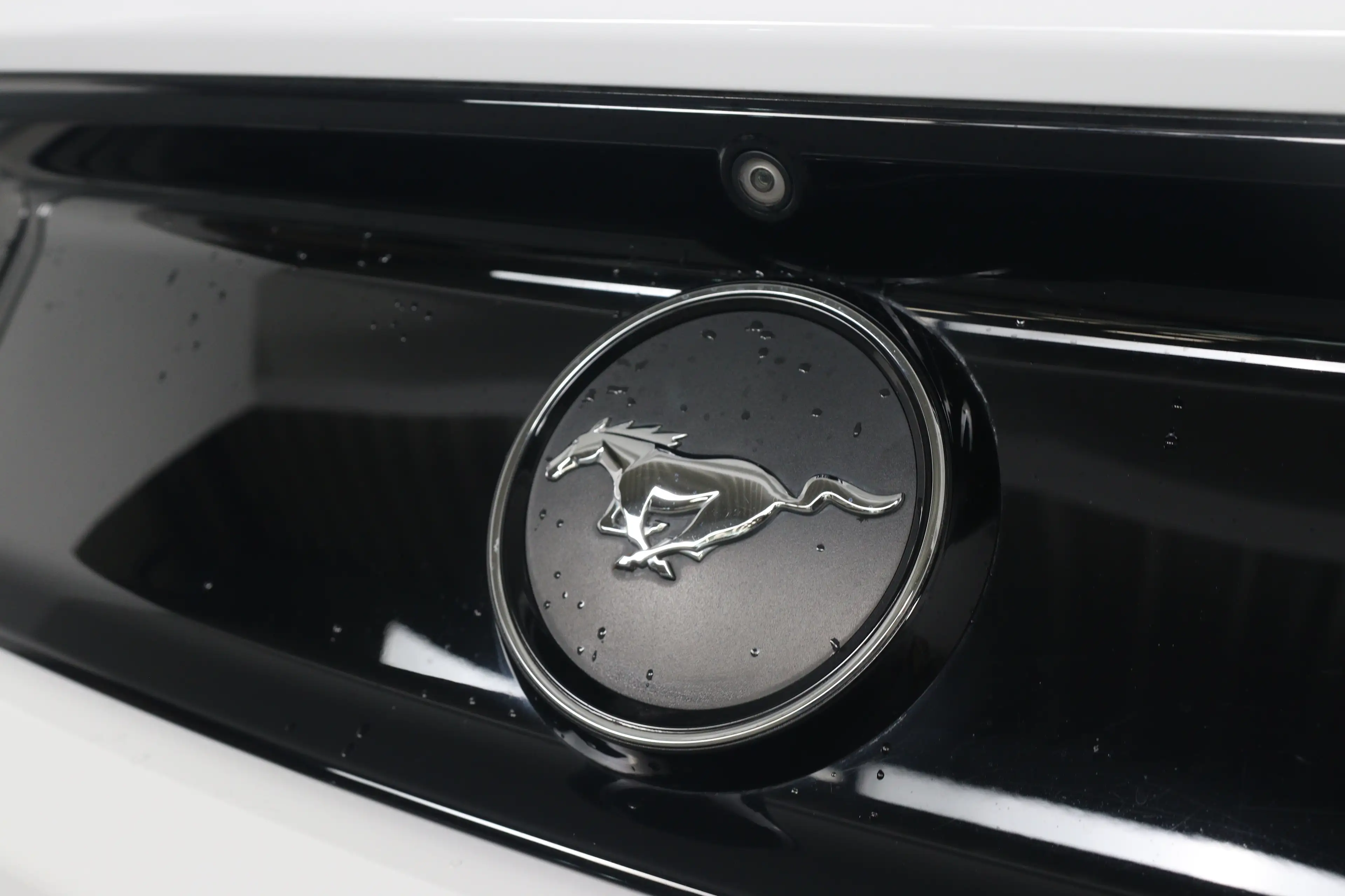 Ford Mustang Fastback 2.3EB | Recaro Sportstoelen | Xenon | Led — photo 29