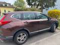 Honda CR-V SUV Braun - thumbnail 6